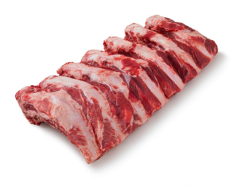 Rib
